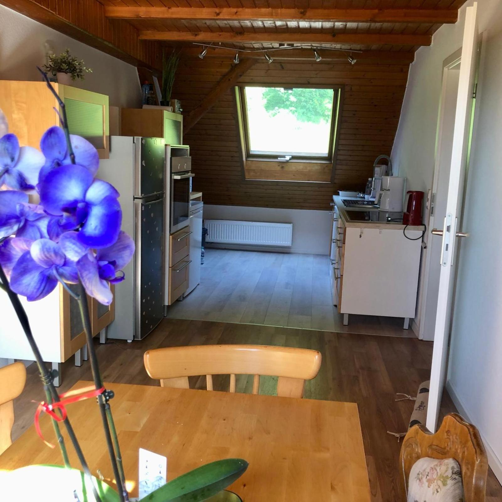 Ferien Im Schwarzwald Freiamt Otel Dış mekan fotoğraf