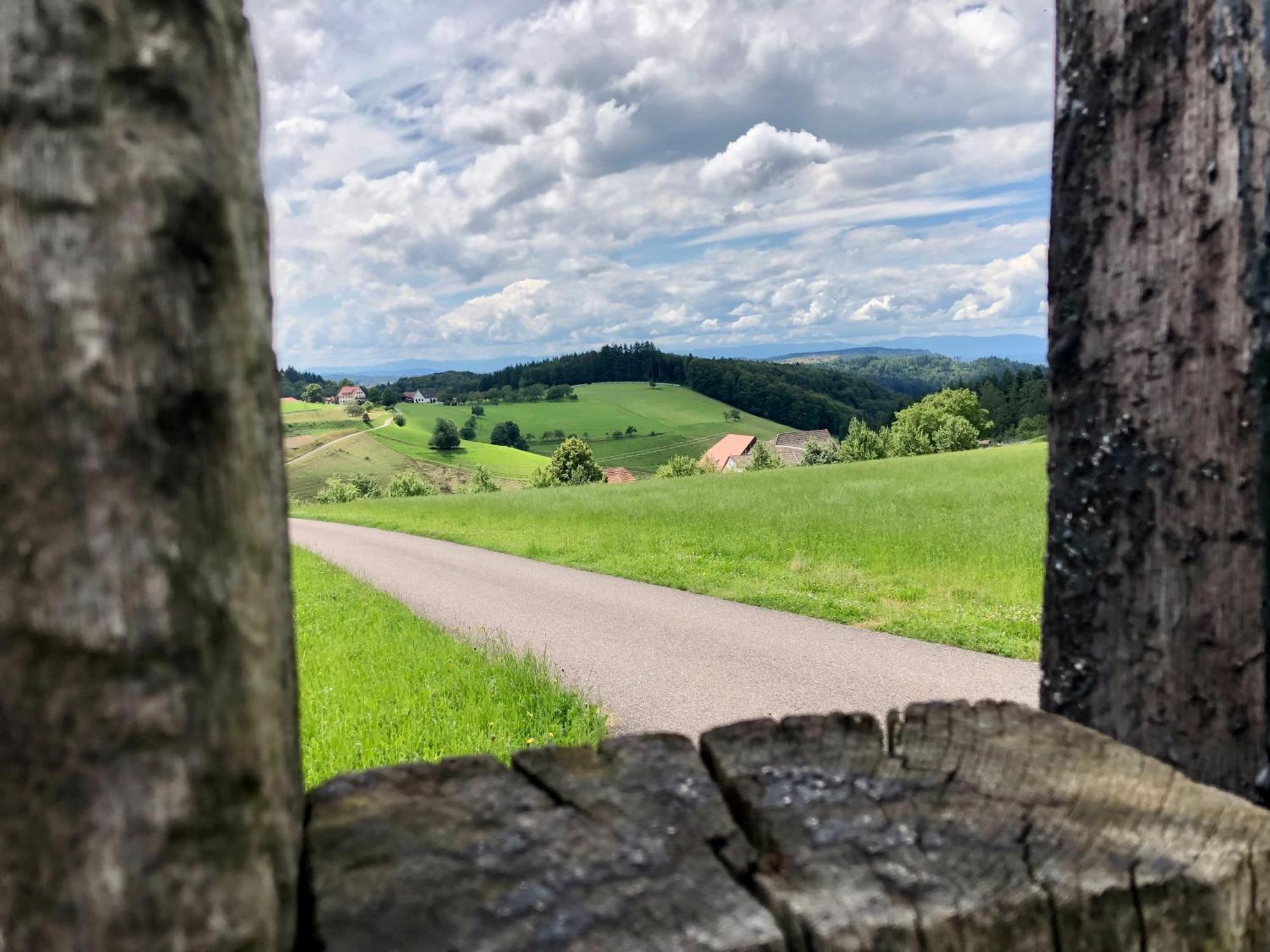 Ferien Im Schwarzwald Freiamt Otel Dış mekan fotoğraf