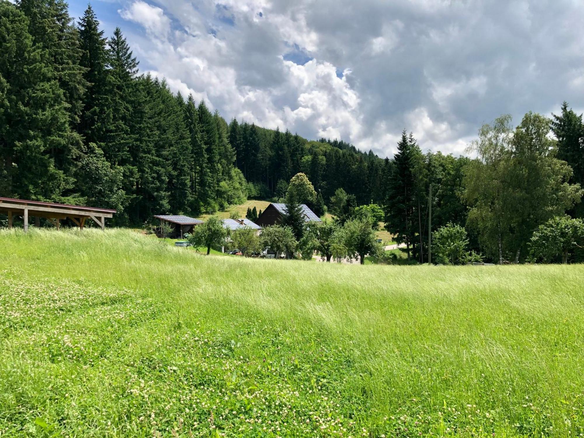 Ferien Im Schwarzwald Freiamt Otel Dış mekan fotoğraf