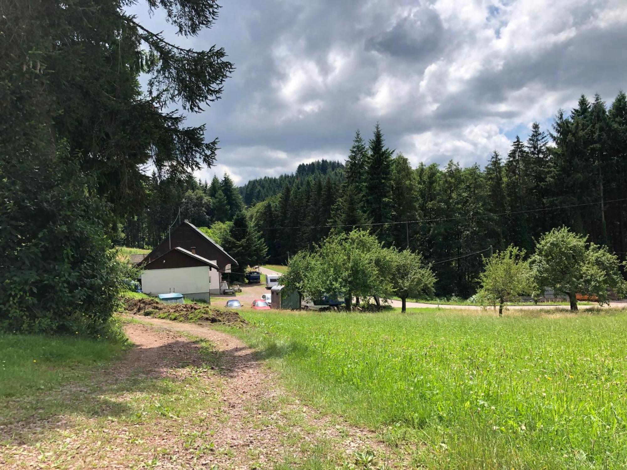 Ferien Im Schwarzwald Freiamt Otel Dış mekan fotoğraf