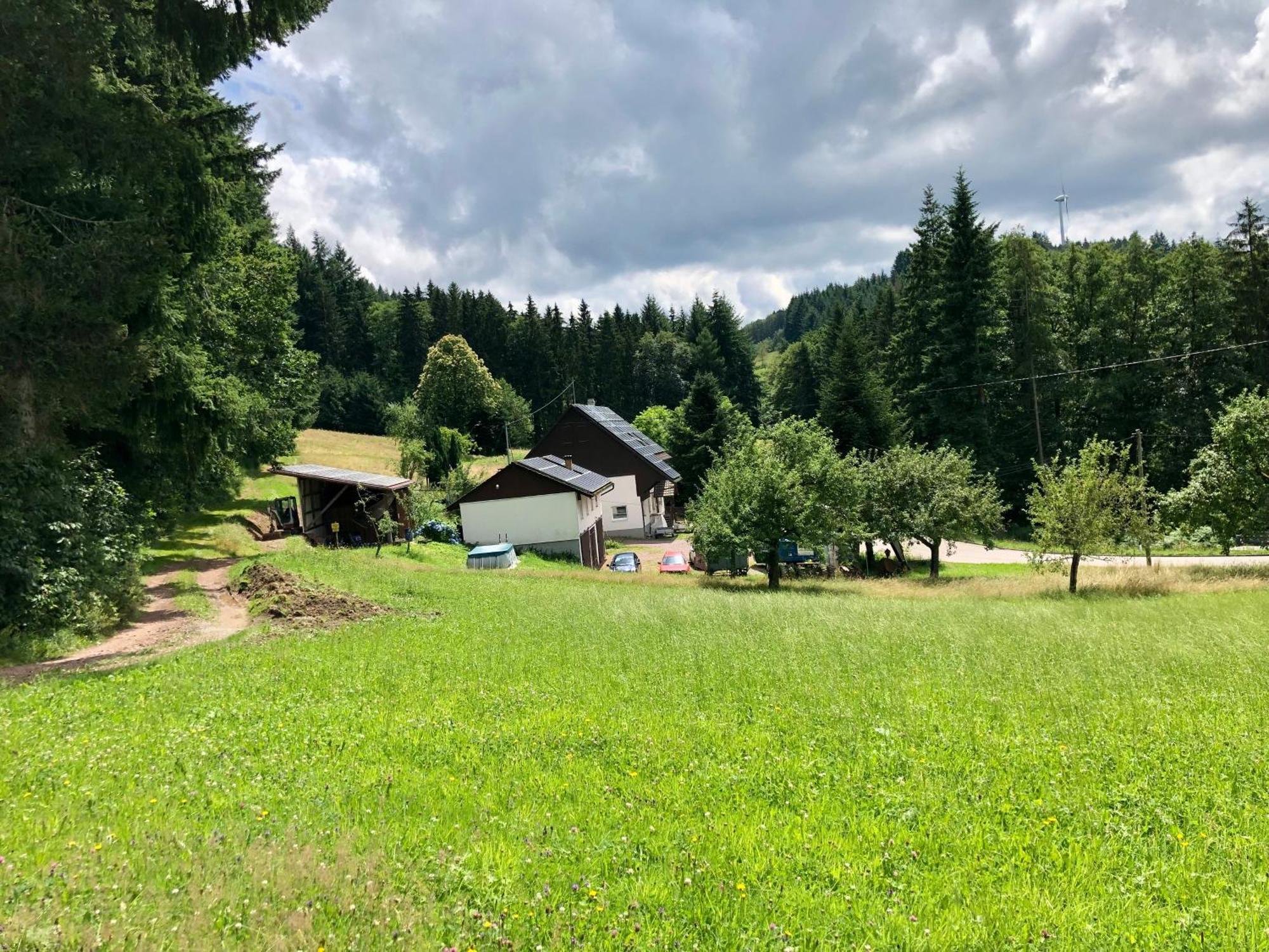 Ferien Im Schwarzwald Freiamt Otel Dış mekan fotoğraf