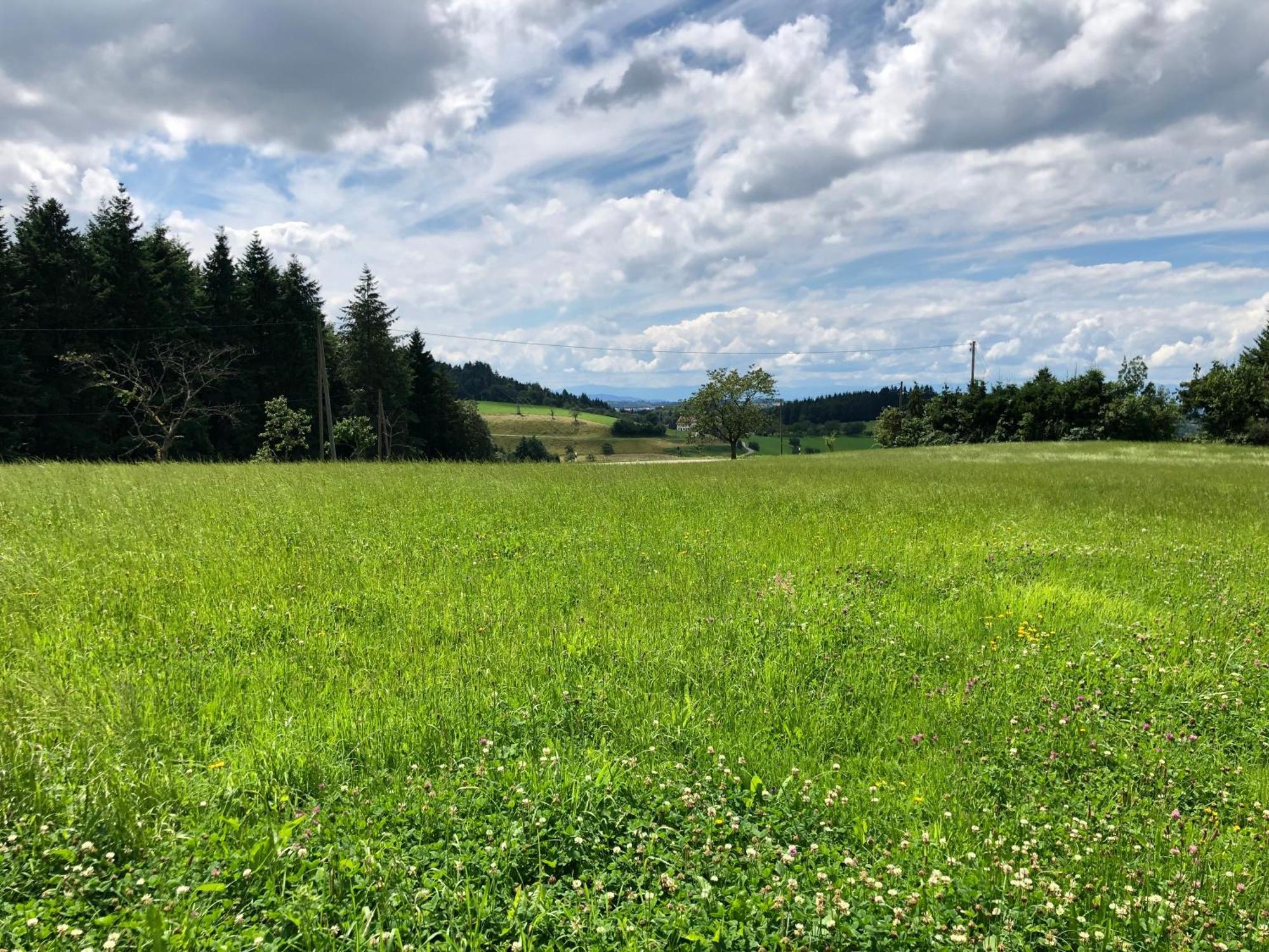 Ferien Im Schwarzwald Freiamt Otel Dış mekan fotoğraf