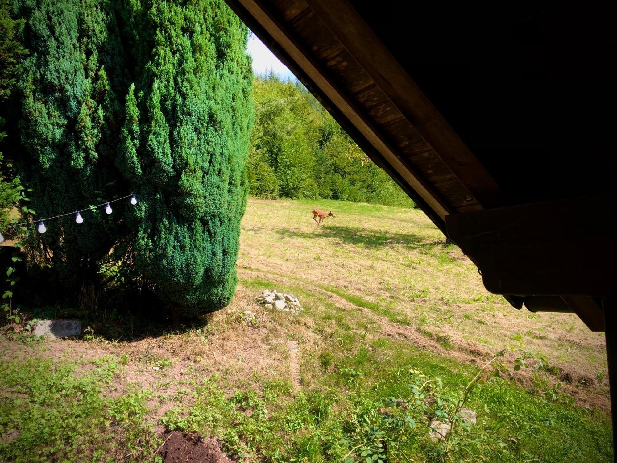 Ferien Im Schwarzwald Freiamt Otel Dış mekan fotoğraf