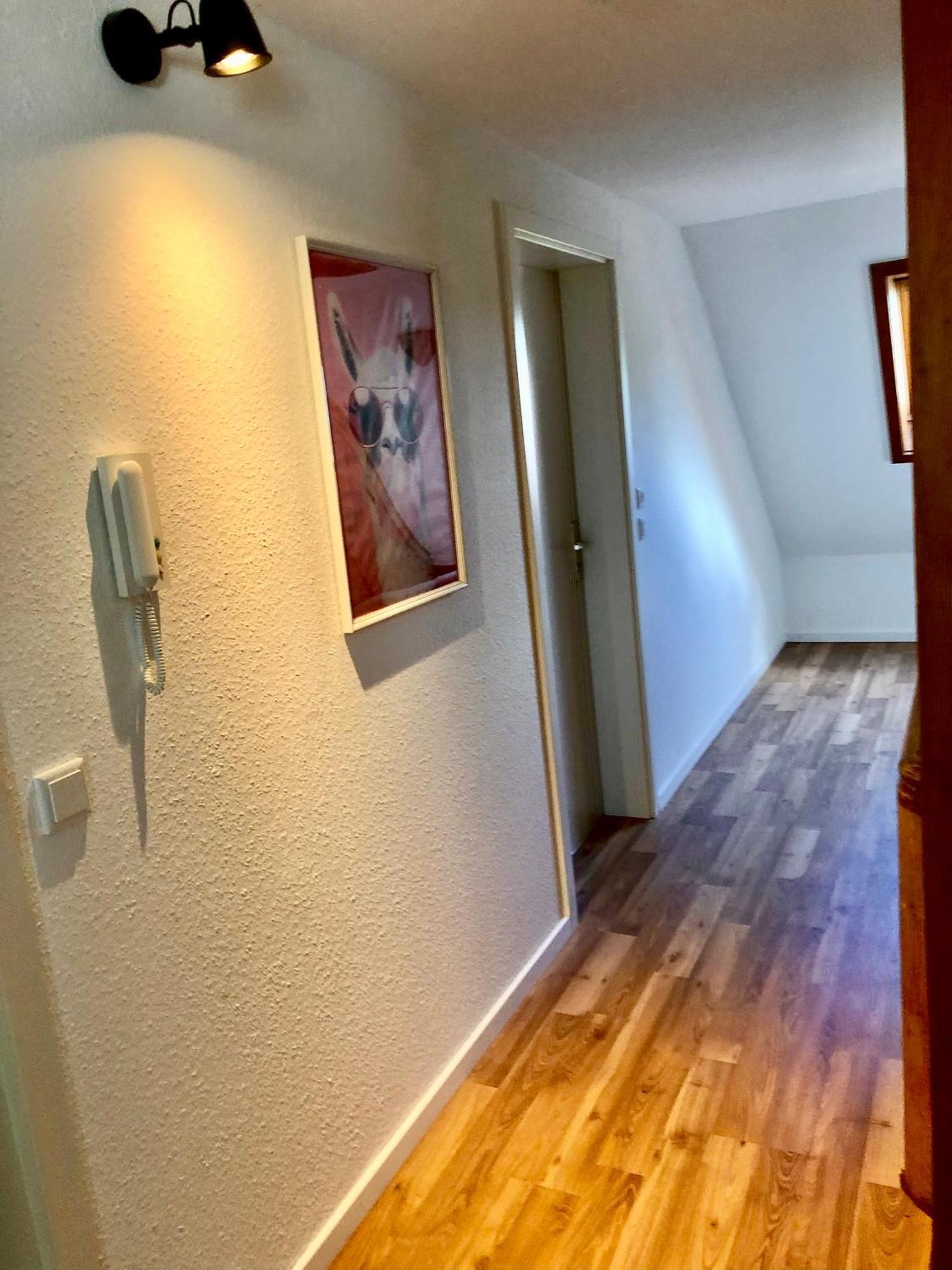 Ferien Im Schwarzwald Freiamt Otel Dış mekan fotoğraf